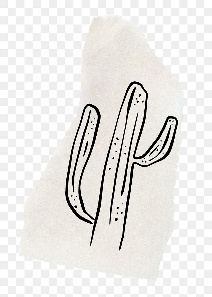 Cactus png sticker, ripped paper doodle, transparent background