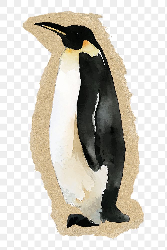 Penguin animal png sticker, ripped paper, transparent background