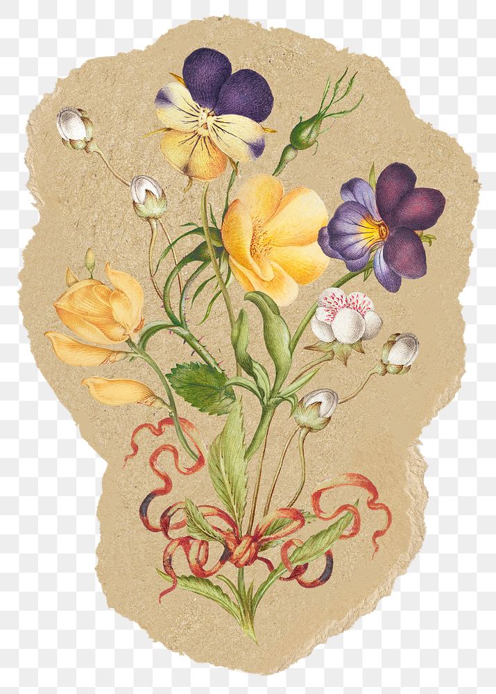 Pansy flowers png sticker, ripped paper, transparent background