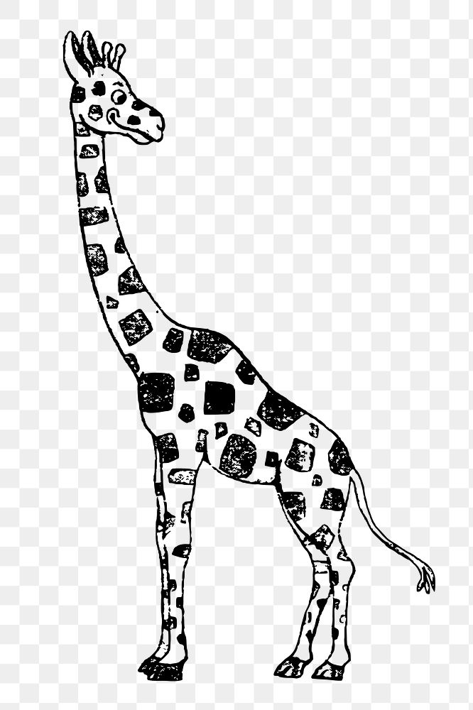 Giraffe png sticker, vintage animal illustration, transparent background. Free public domain CC0 image.