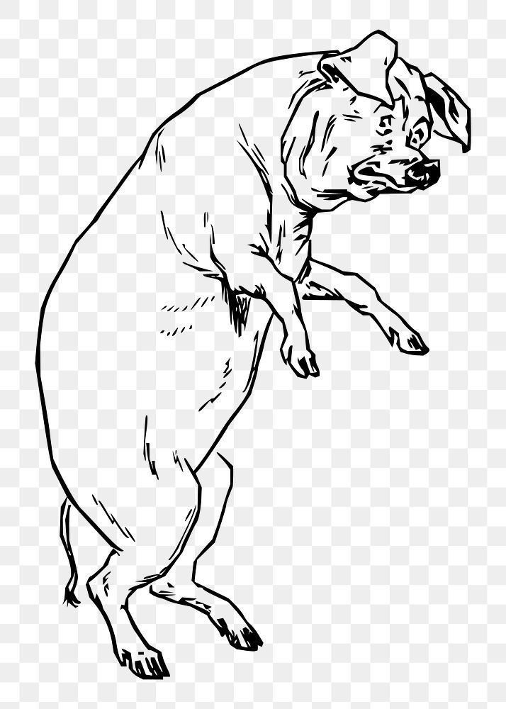 Pig png sticker illustration, transparent background. Free public domain CC0 image.