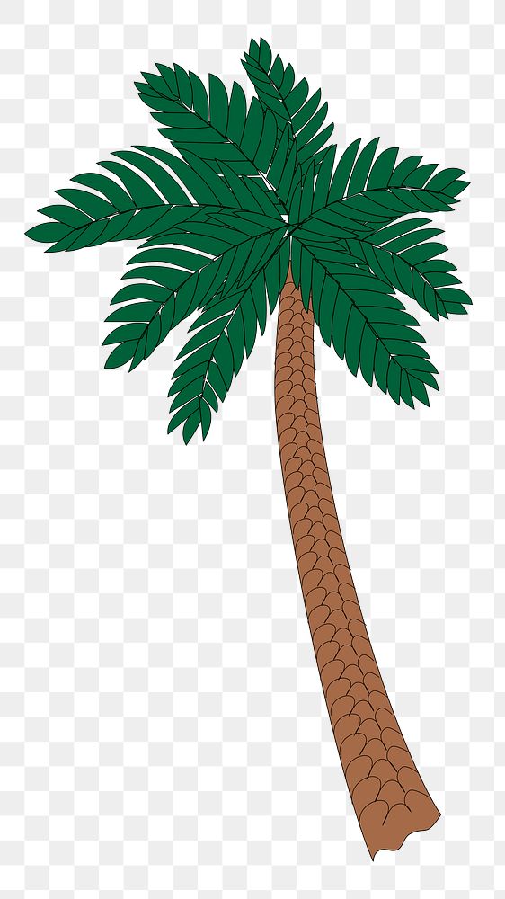 Palm tree png sticker, tropical illustration, transparent background. Free public domain CC0 image