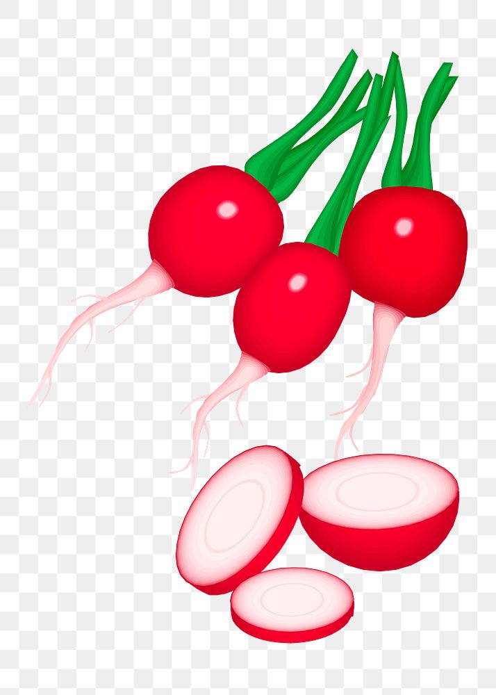 Radishes png sticker vegetable illustration, transparent background. 