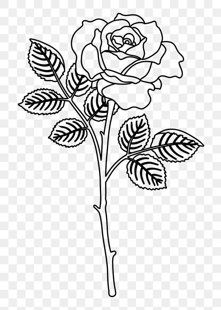Rose png sticker, black and white illustration, transparent background. Free public domain CC0 image.
