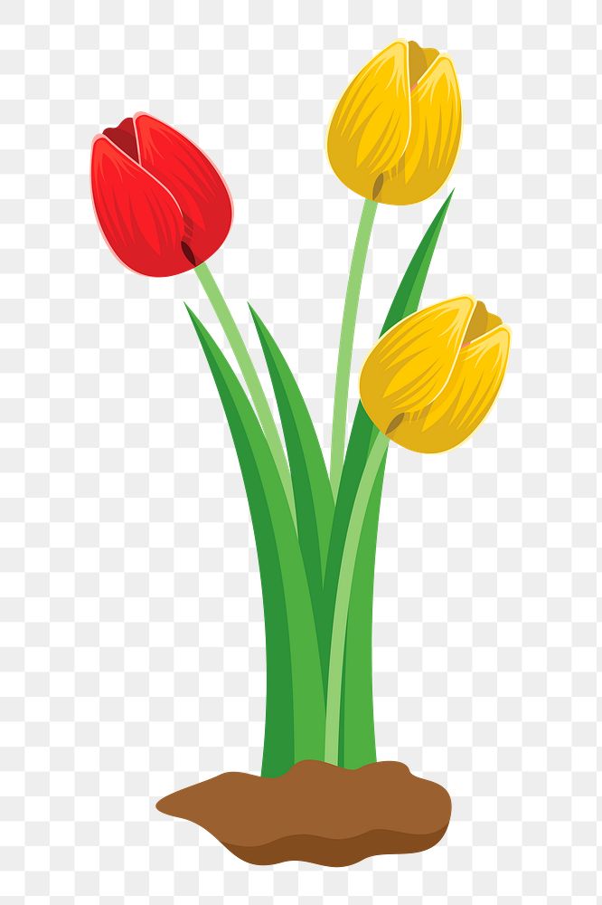 Tulip flower png sticker, transparent background. Free public domain CC0 image.