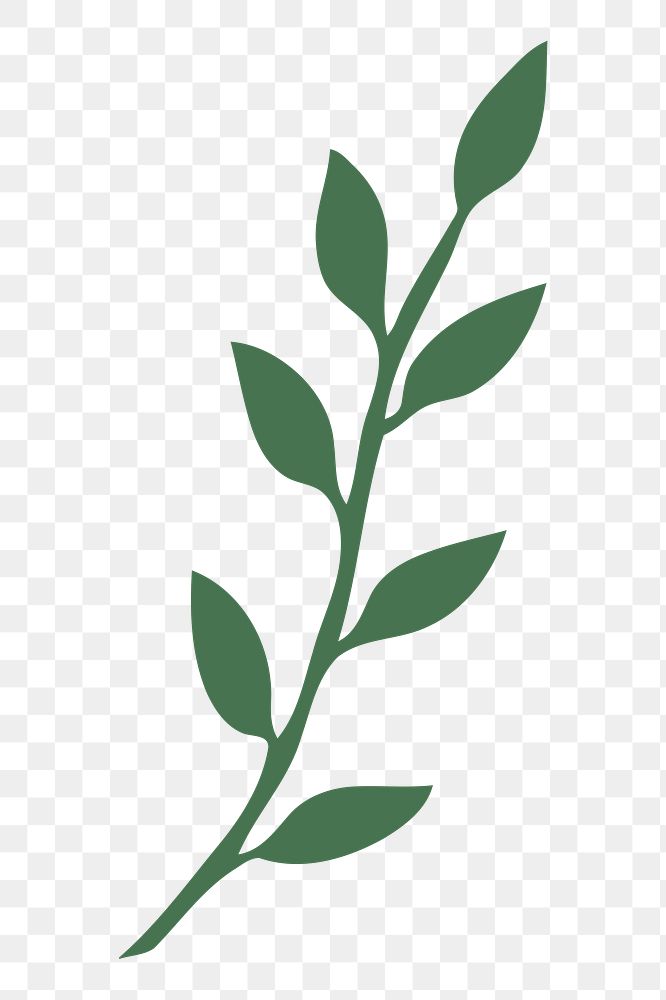 Green leaf png sticker, transparent background. Free public domain CC0 image.