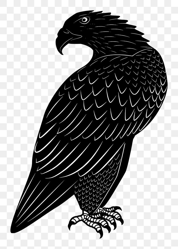 Silhouette eagle png sticker animal illustration, transparent background. Free public domain CC0 image.