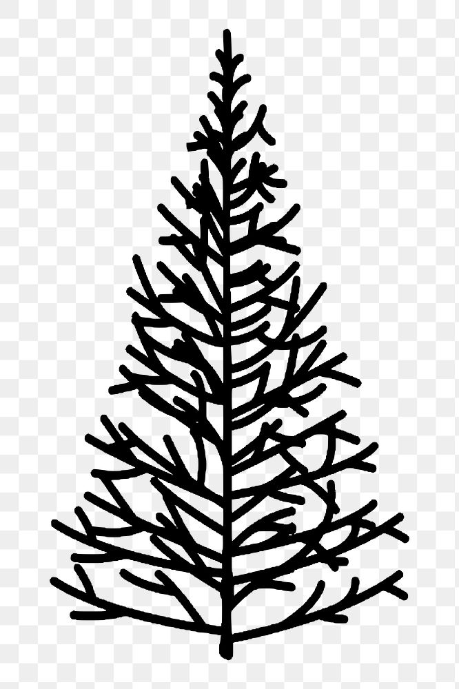 Pine tree png sticker Christmas illustration, transparent background. Free public domain CC0 image.