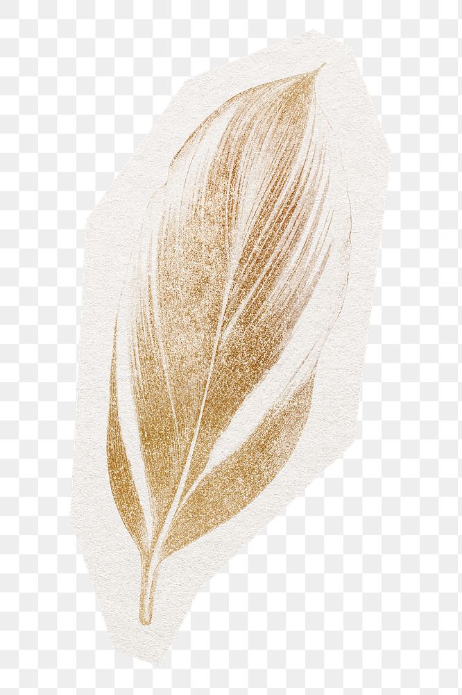 Golden feather png sticker, cut out paper design, transparent background