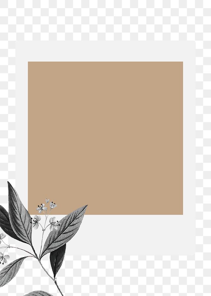 Autumn png sticker instant photo, botanical design, transparent background