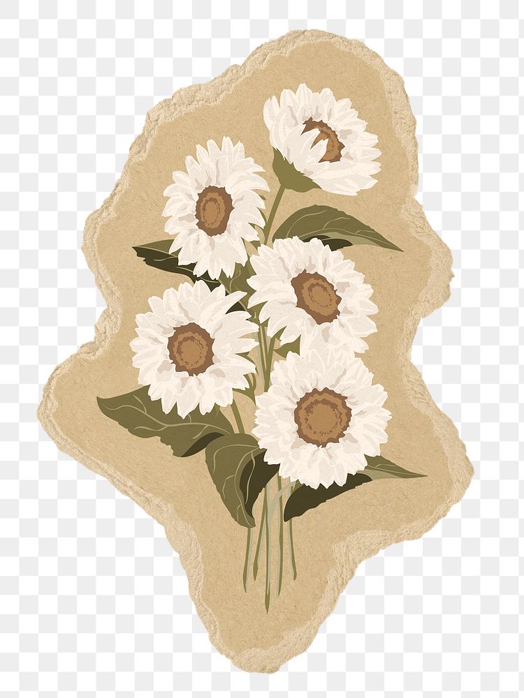 White sunflower png sticker, torn paper transparent background