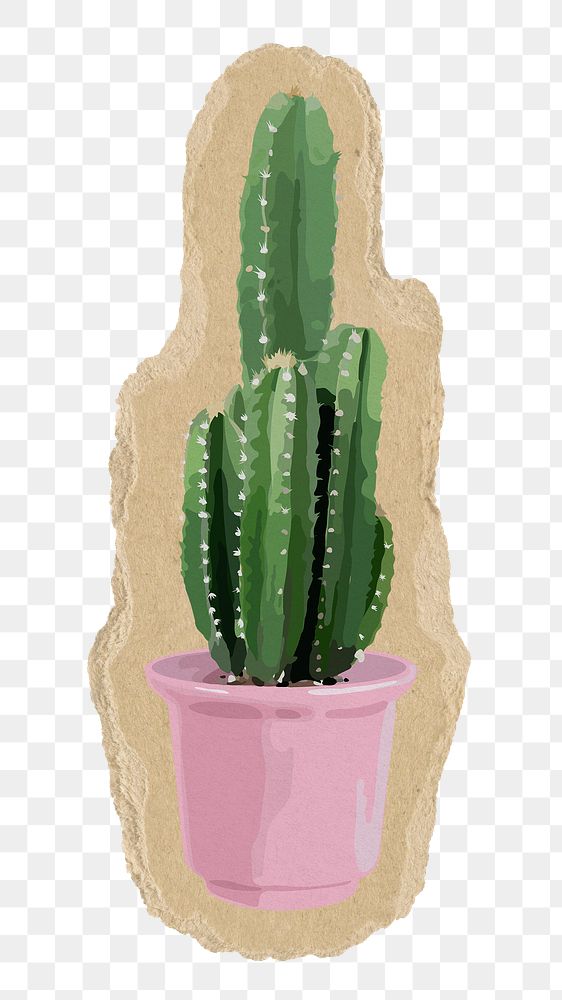 Cactus png sticker, torn paper transparent background