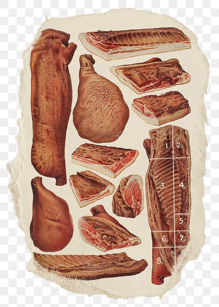 Bacon cuts png food sticker, ripped paper, transparent background