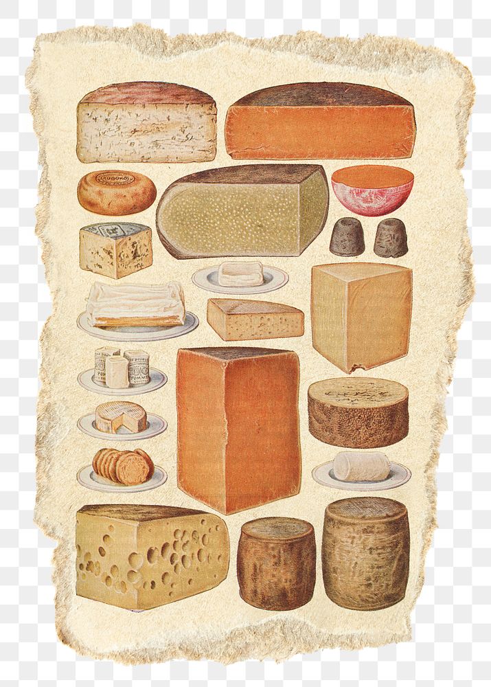 Vintage cheese png food sticker, ripped paper, transparent background