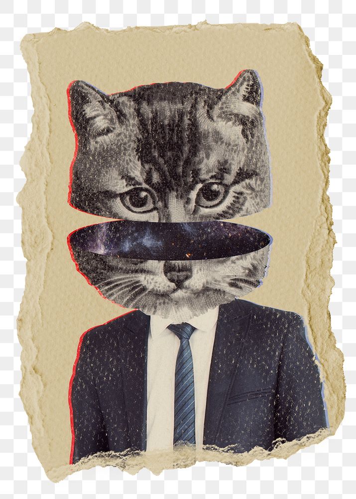 Cat businessman png animal sticker, ripped paper, transparent background