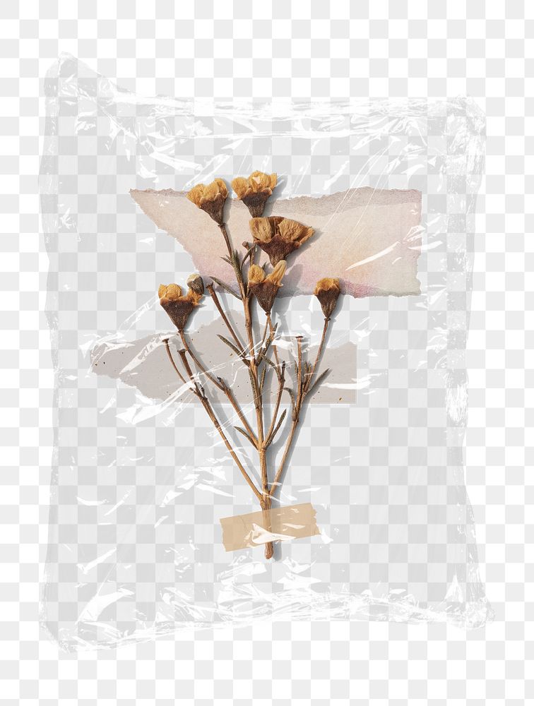 Dried flower png plastic bag sticker, Autumn concept art on transparent background