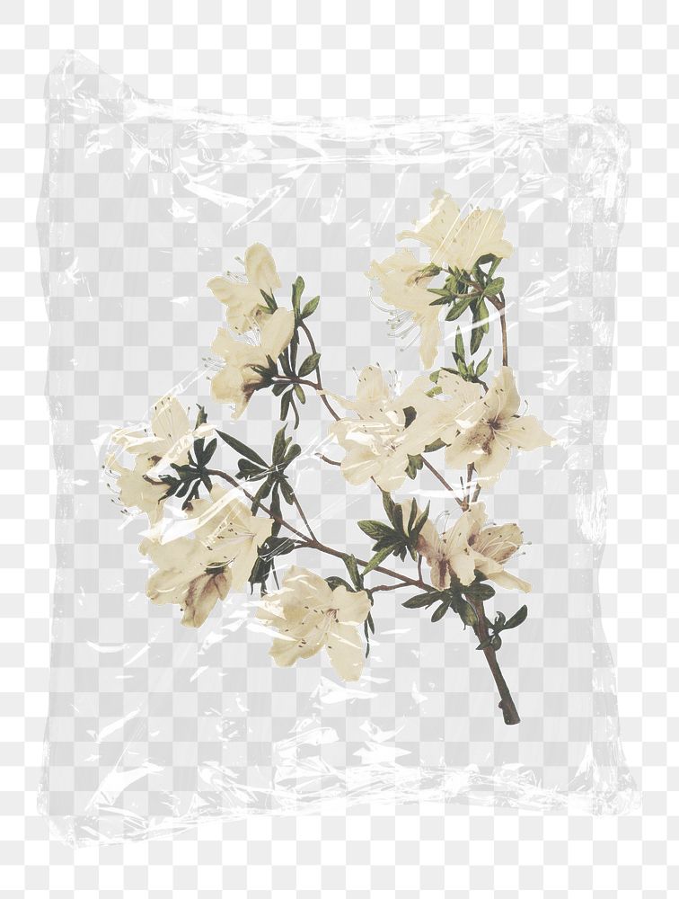 Azalea flowers png plastic bag sticker, Spring concept art on transparent background
