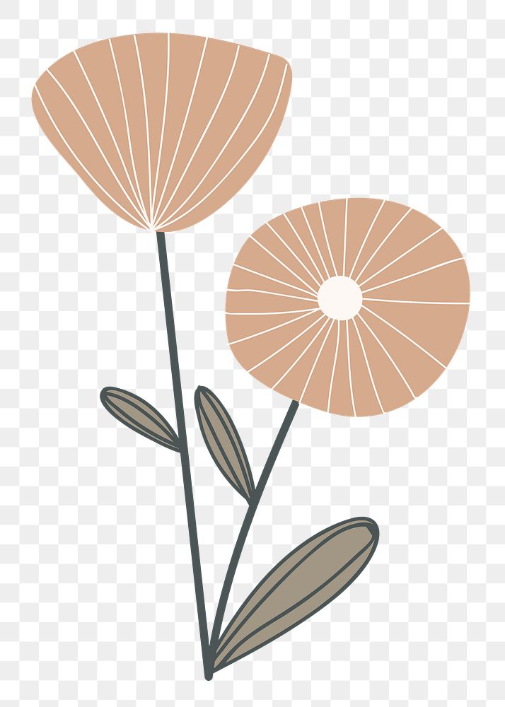 Cute flower png sticker, doodle botanical transparent background