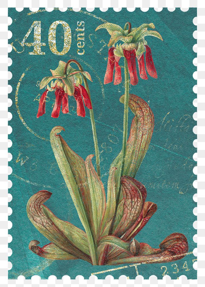 PNG floral postage stamp, aesthetic red flower collage element, transparent background