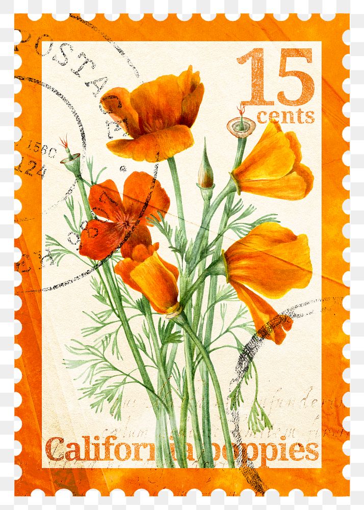 PNG floral postage stamp, aesthetic California poppy collage element, transparent background