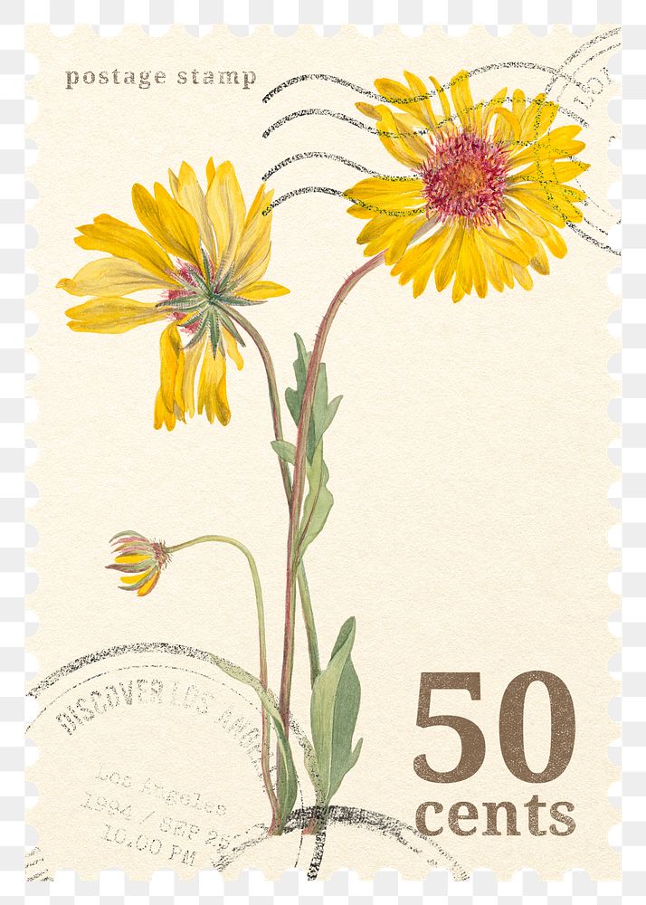 PNG floral postage stamp, aesthetic yellow flower collage element, transparent background