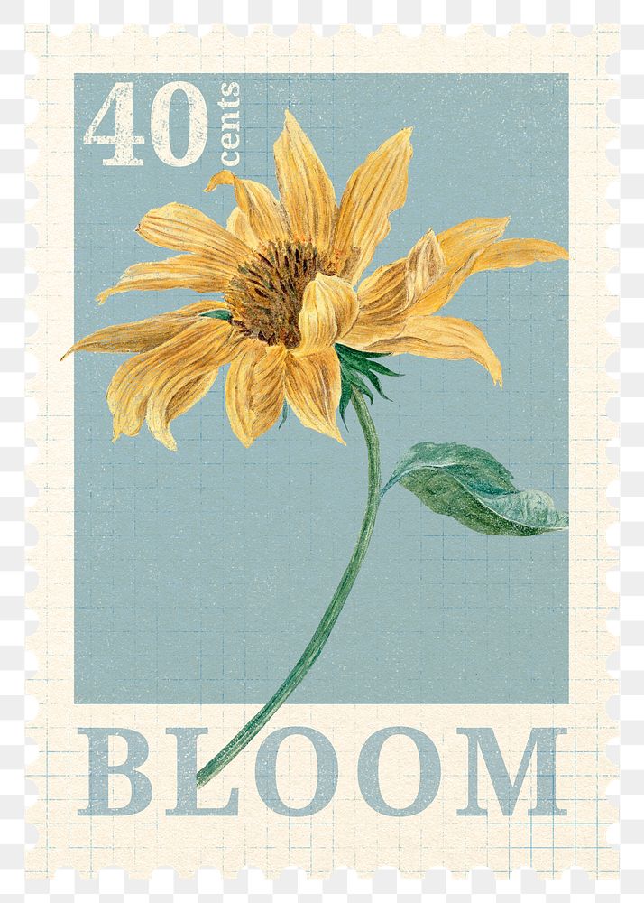 PNG sunflower postage stamp, aesthetic collage element, transparent background