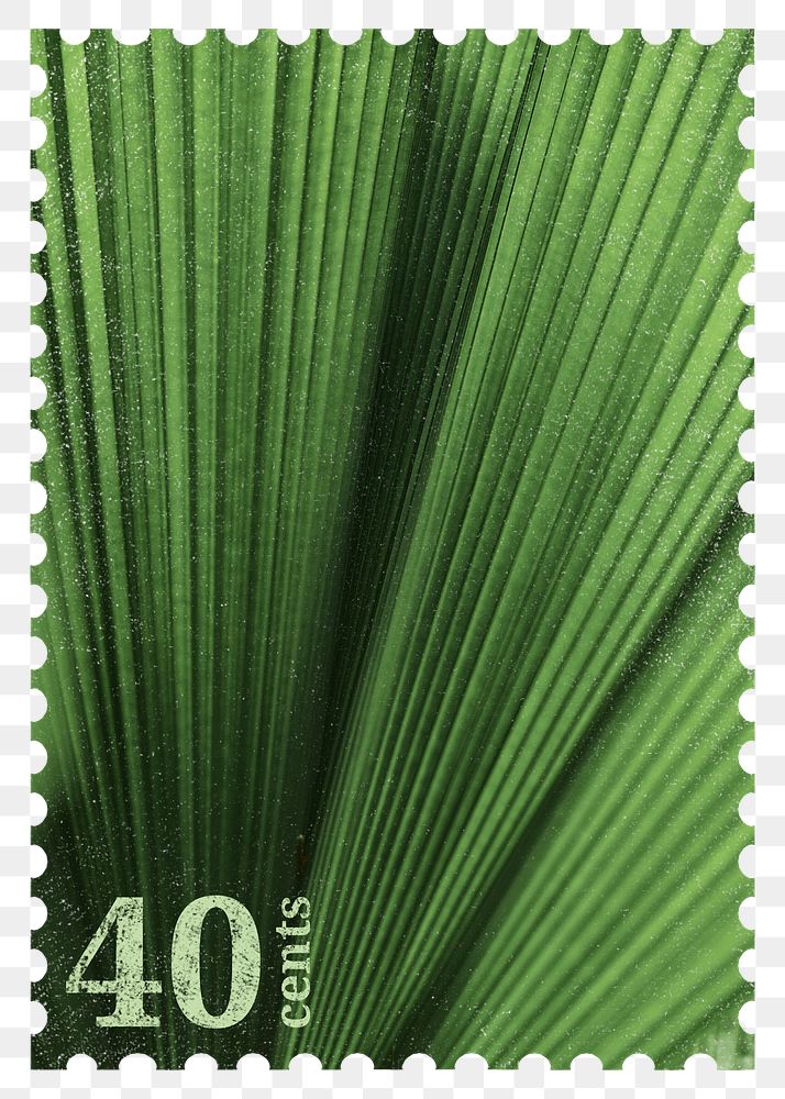 Postage stamp png, palm leaf sticker, aesthetic collage element, transparent background
