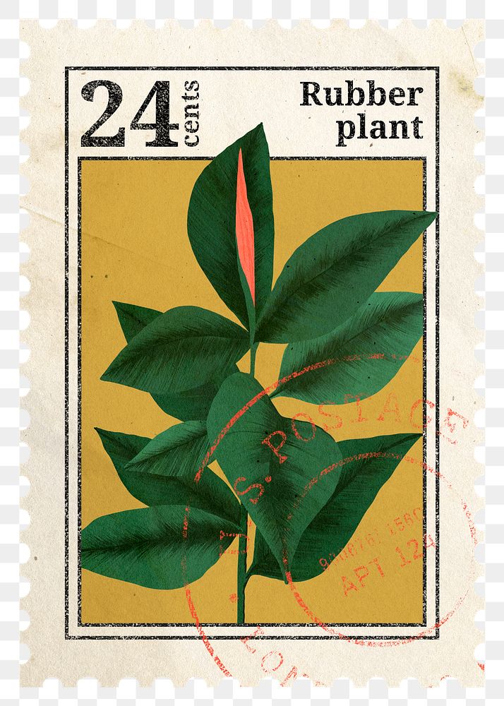 PNG botanical postage stamp, aesthetic rubber plant collage element, transparent background