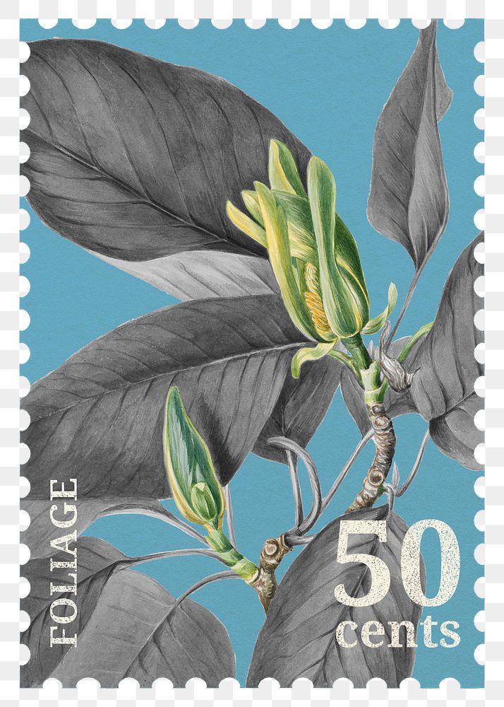 PNG botanical postage stamp, aesthetic plant collage element, transparent background