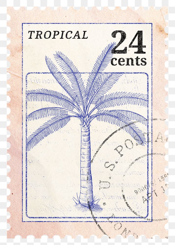 PNG botanical postage stamp, aesthetic palm tree collage element, transparent background