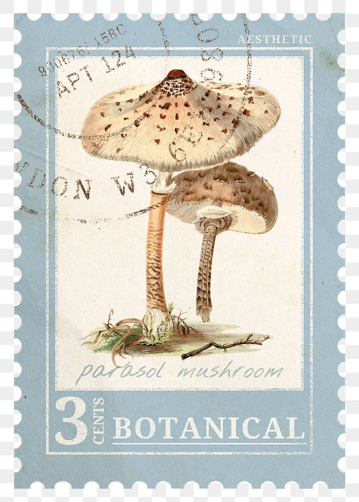 Postage stamp png, aesthetic parasol mushroom, ephemera collage element, transparent background, remixed by rawpixel