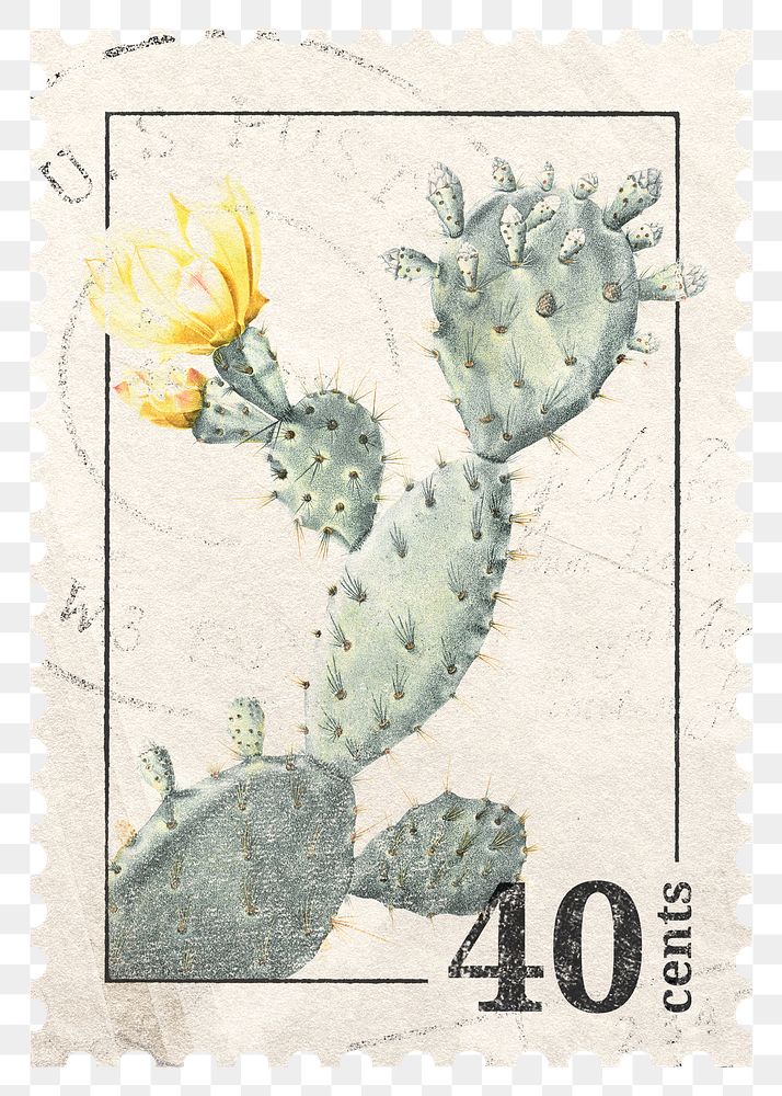 PNG cactus postage stamp, aesthetic botanical collage element, transparent background, remixed by rawpixel