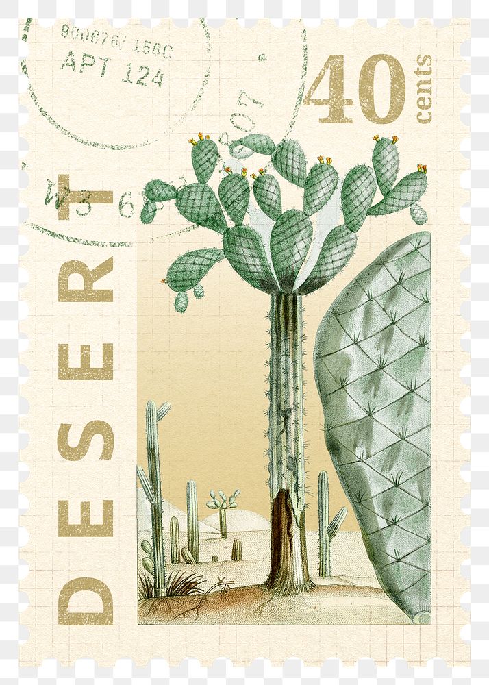 PNG cactus postage stamp, ephemera botanical collage element, transparent background, remixed by rawpixel