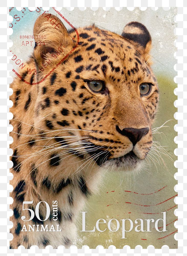 Leopard png post stamp sticker, transparent background