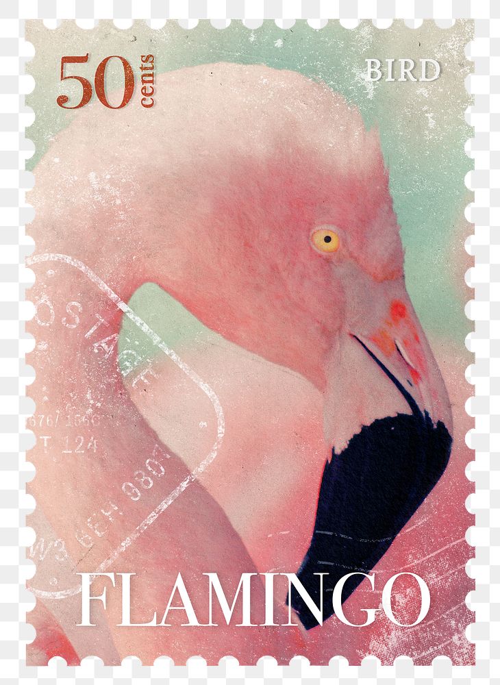 Flamingo png post stamp sticker, transparent background