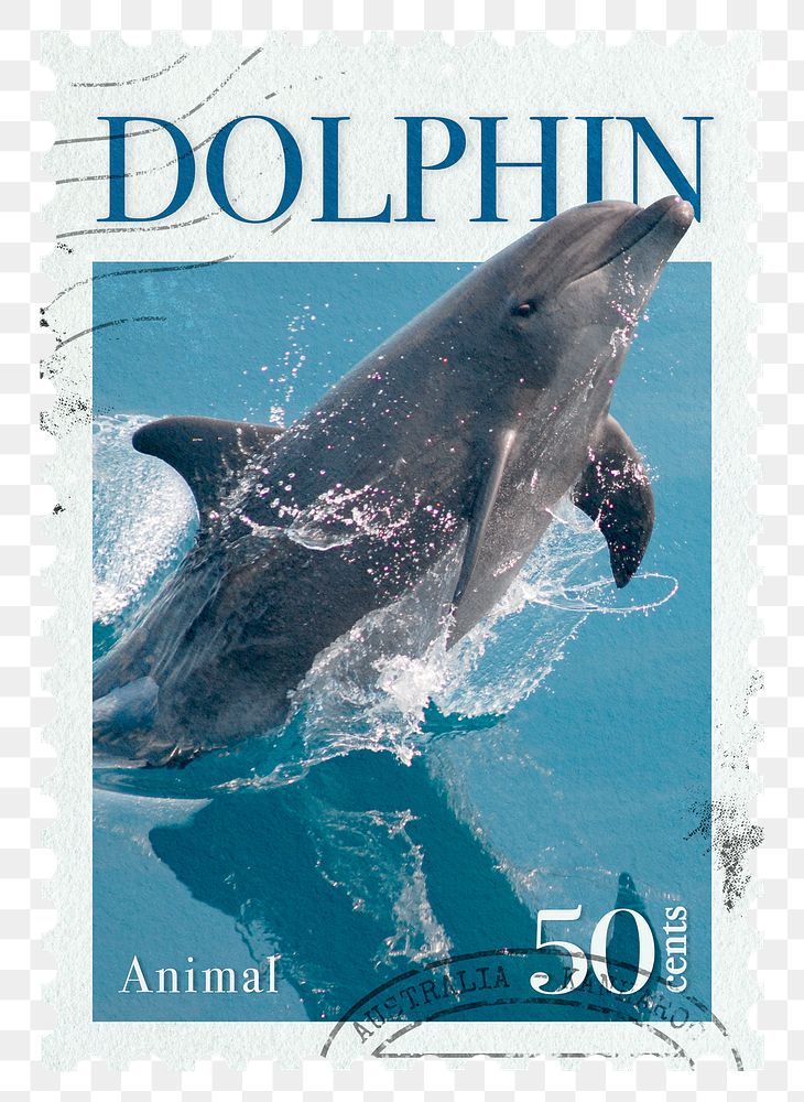 Dolphin png post stamp sticker, transparent background