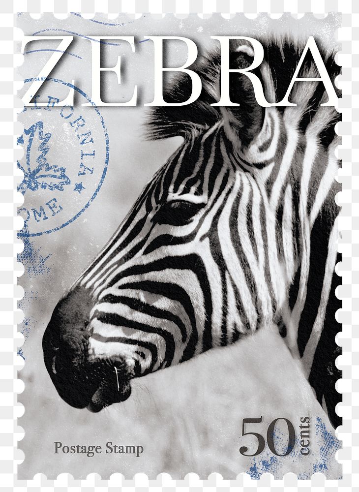 Zebra png post stamp sticker, transparent background