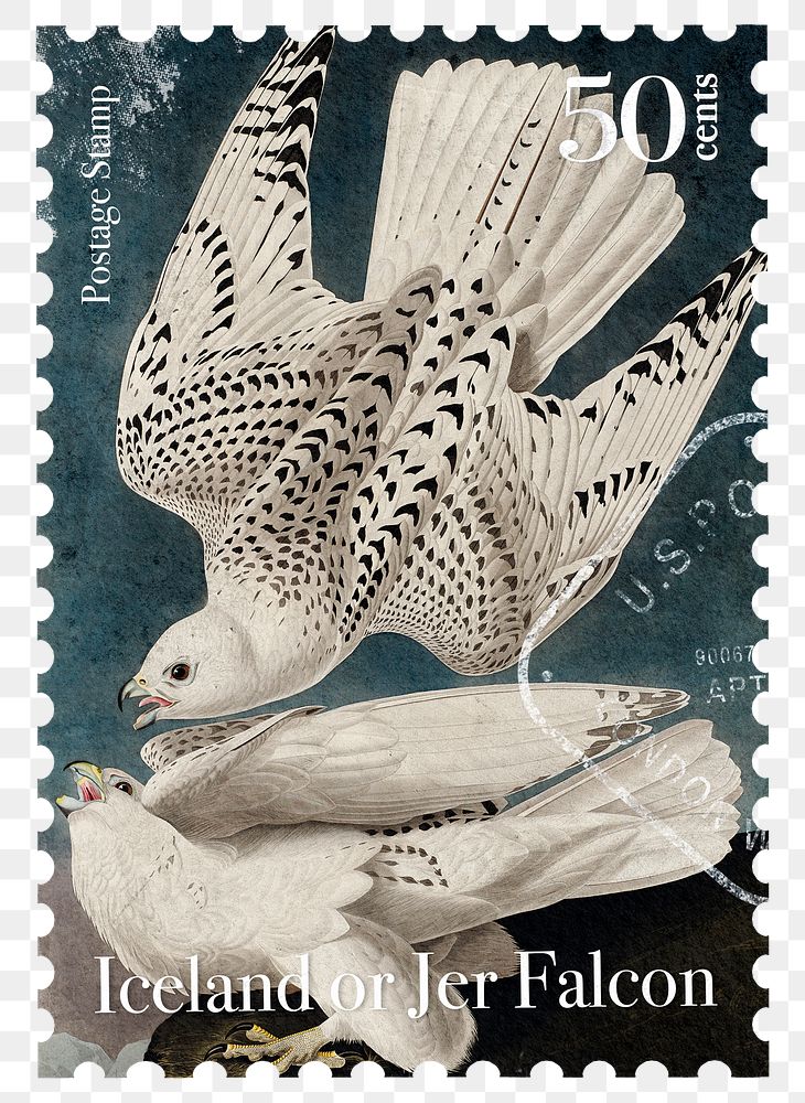 Gyrfalcon png post stamp, ephemera sticker, transparent background