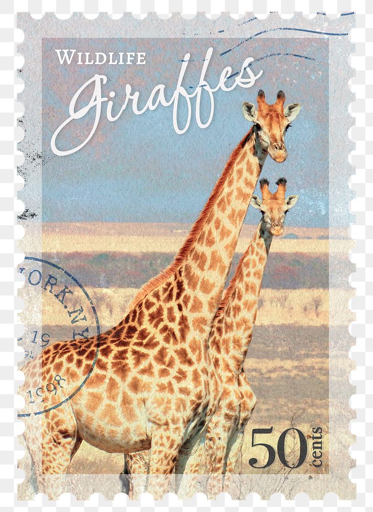 Giraffe png post stamp sticker, transparent background