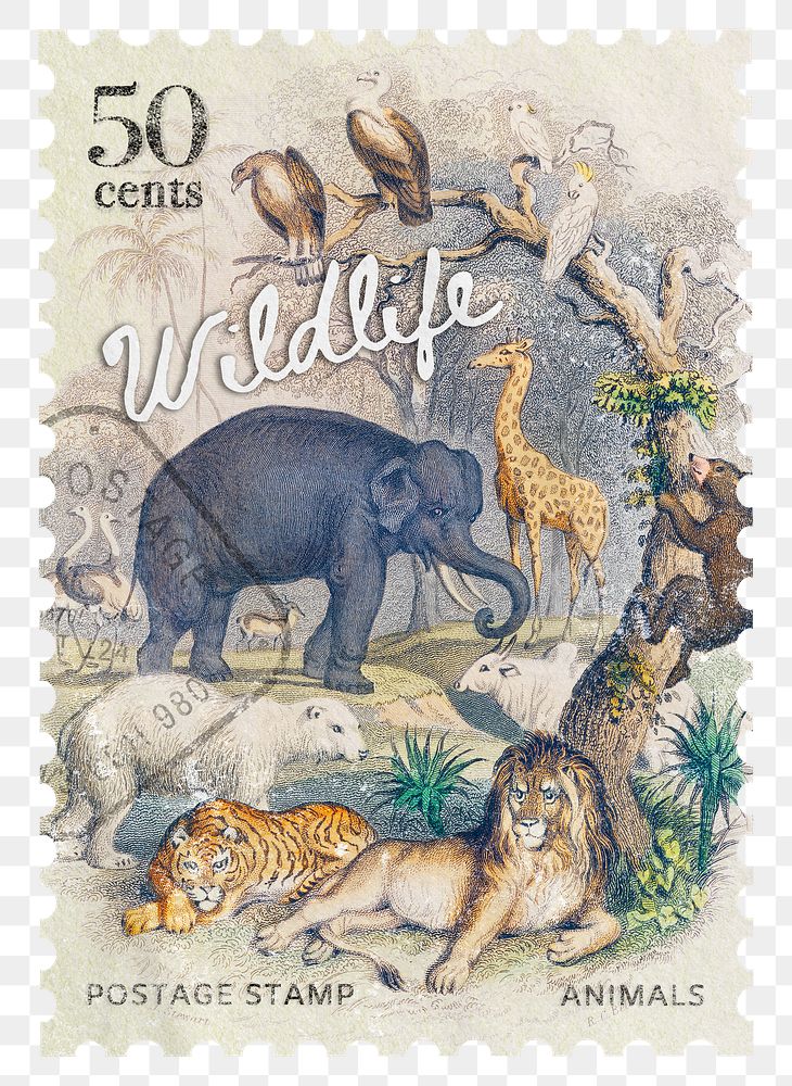 Wildlife png post stamp, ephemera sticker, transparent background