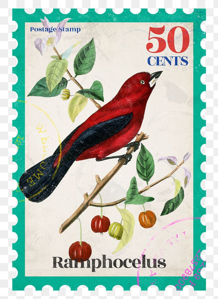 Red bird png post stamp, ephemera sticker, transparent background
