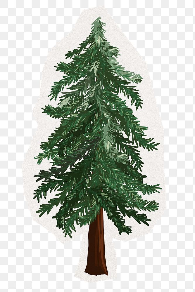 Christmas tree png digital sticker in transparent background