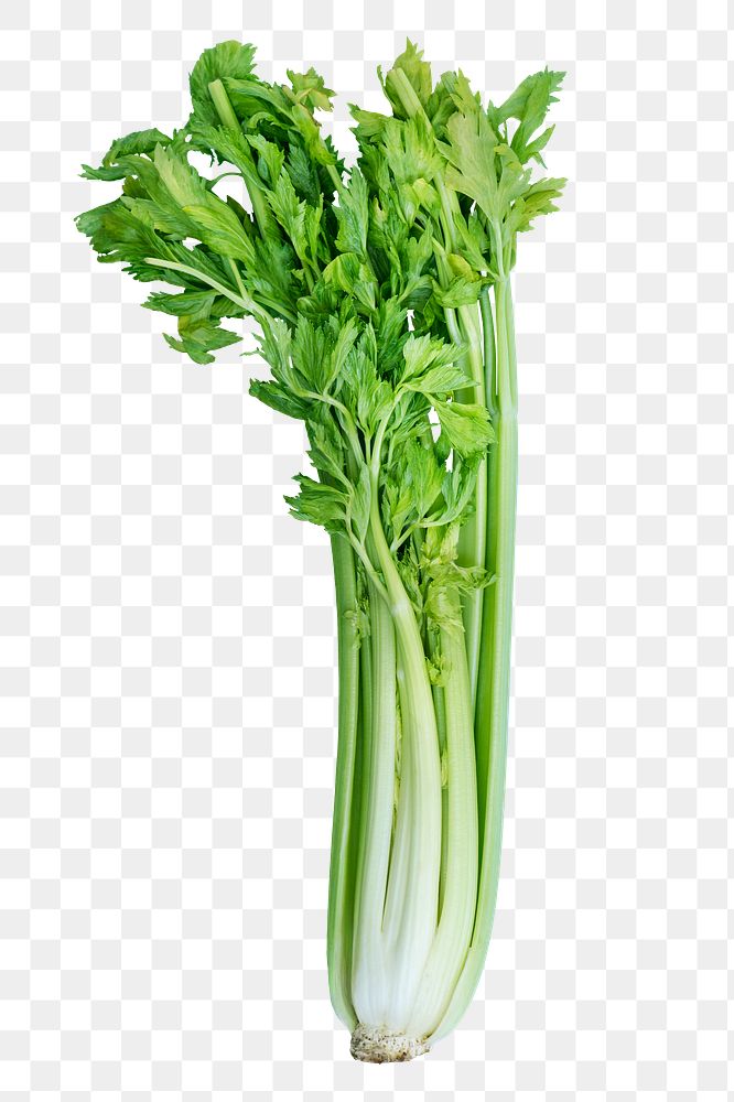 Celery png sticker, vegetable, food ingredient image on transparent background