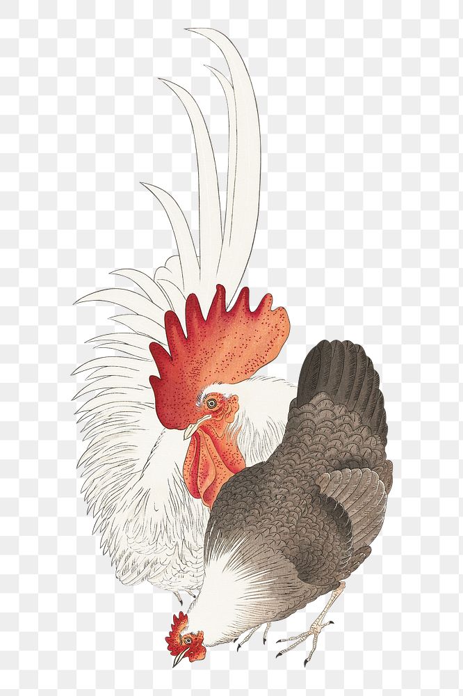 Png Ohara Koson's chicken sticker, vintage illustration, transparent background