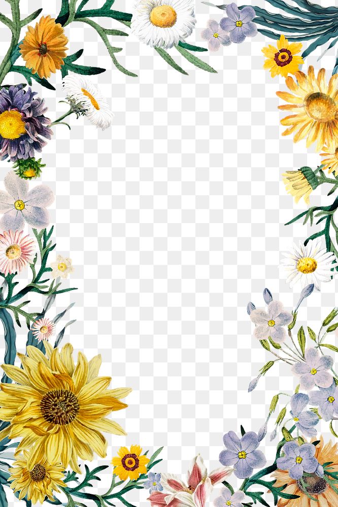 Elegant floral png frame colorful
