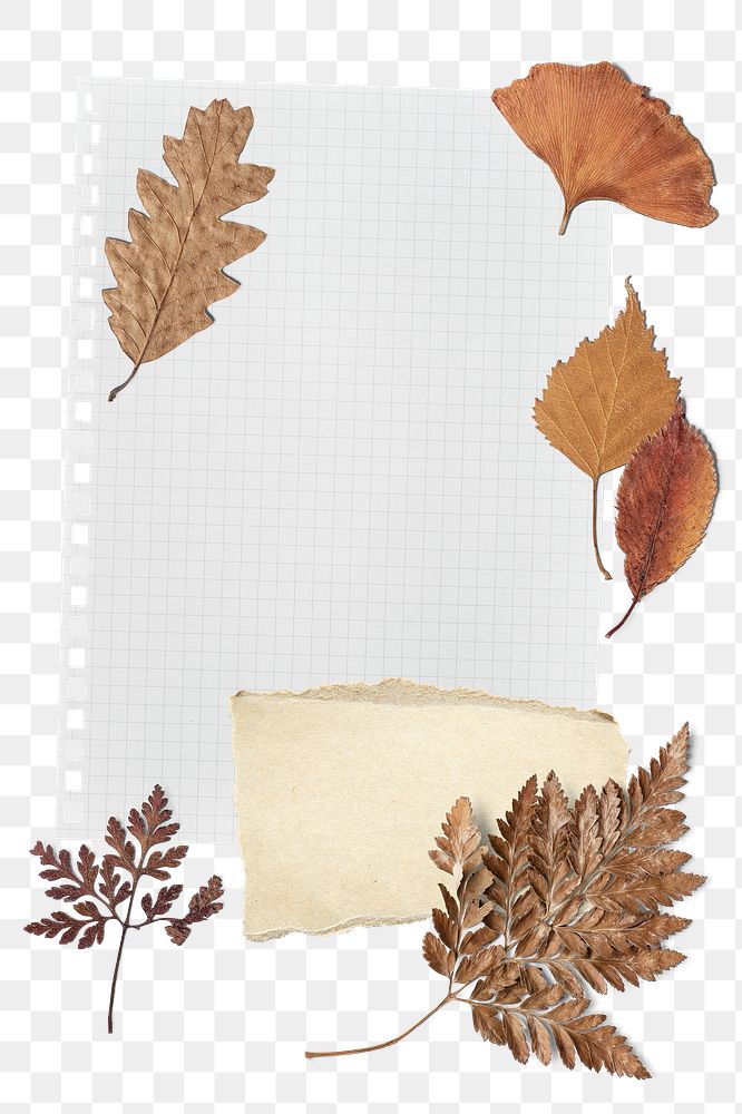 Autumn paper note png journal sticker, transparent background