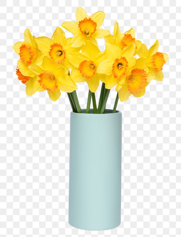 PNG daffodil in blue vase, isolated object, collage element design