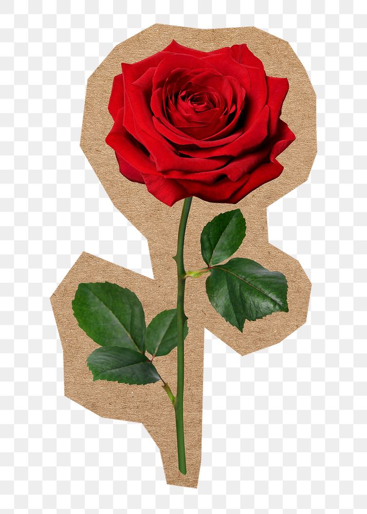 Red rose png Valentine's sticker, brown paper border collage element, transparent background