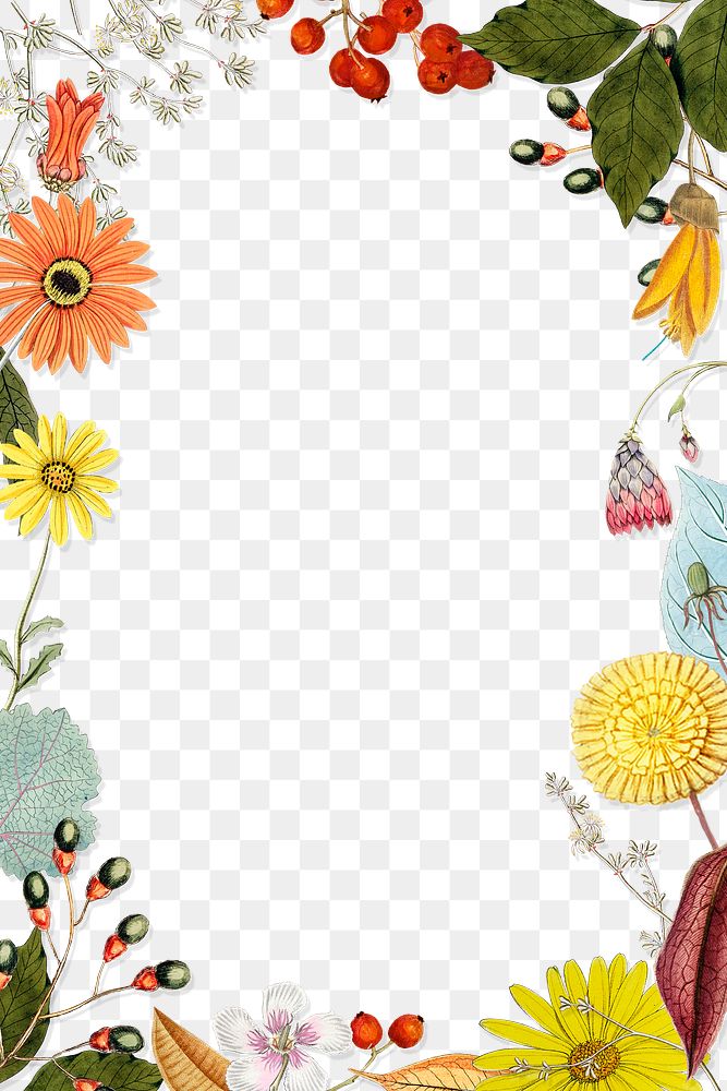 Rectangle colorful flowers frame patterned transparent png