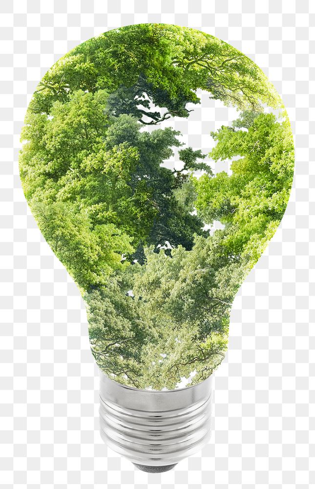 Tree light bulb png sticker, environment cut out, transparent background